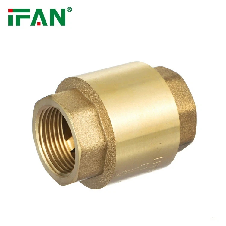 1/2 ইঞ্চি ব্রাস চেক ভালভ